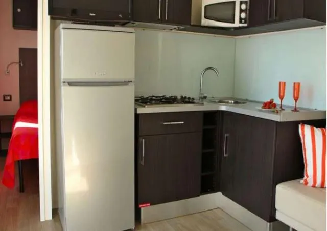 Mobil Home Maxicaravan Art View