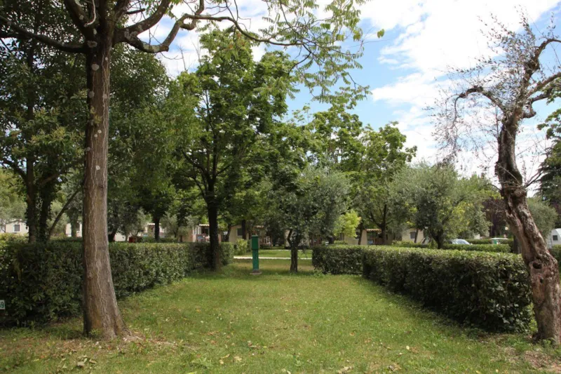 Emplacement A + Véhicule + Électricité 6A + Evacuation Eau 60 M²