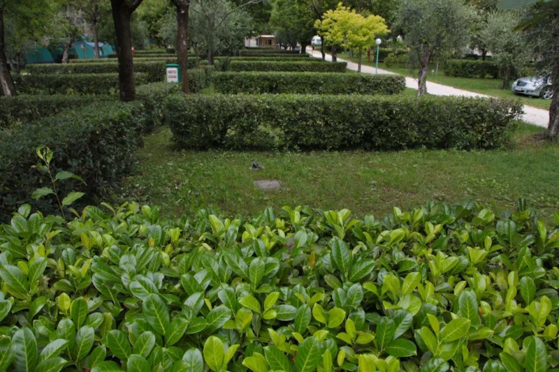 Emplacement A + Véhicule + Électricité 6A + Evacuation Eau 60 M²