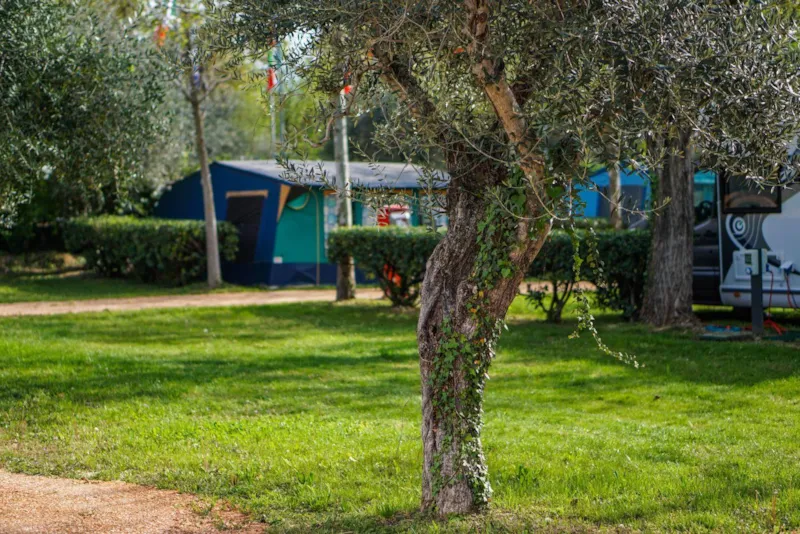 Emplacement Xl (Véhicule + Électricité 10A + Evacuation Eau) 110/120 M²