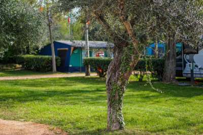 Pitch XL Pool (Campervans/Roulotte + electricity 10A + water point), 110/120 m2 — 4