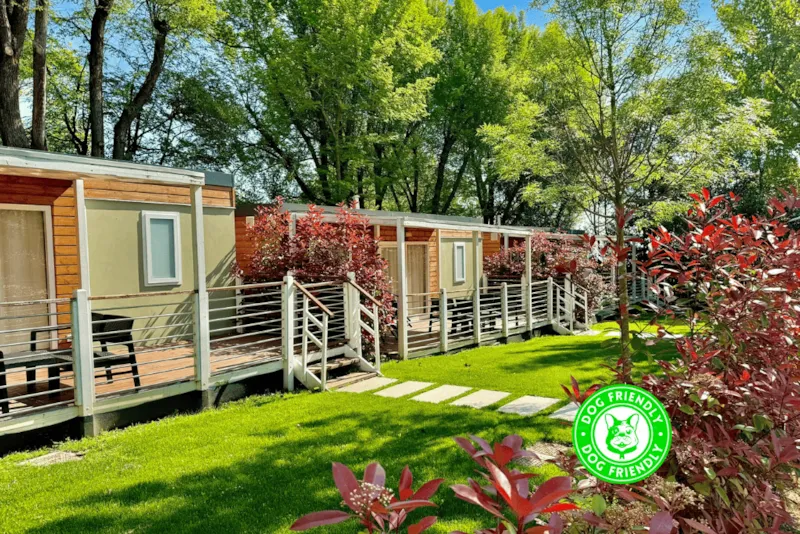 Mobil Home Maxicaravan Art View