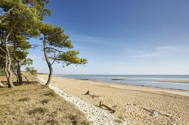 Camping La Frétille