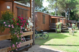 Il Tridente Camping Village - image n°6 - Roulottes