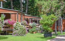 Il Tridente Camping Village - image n°2 - Roulottes