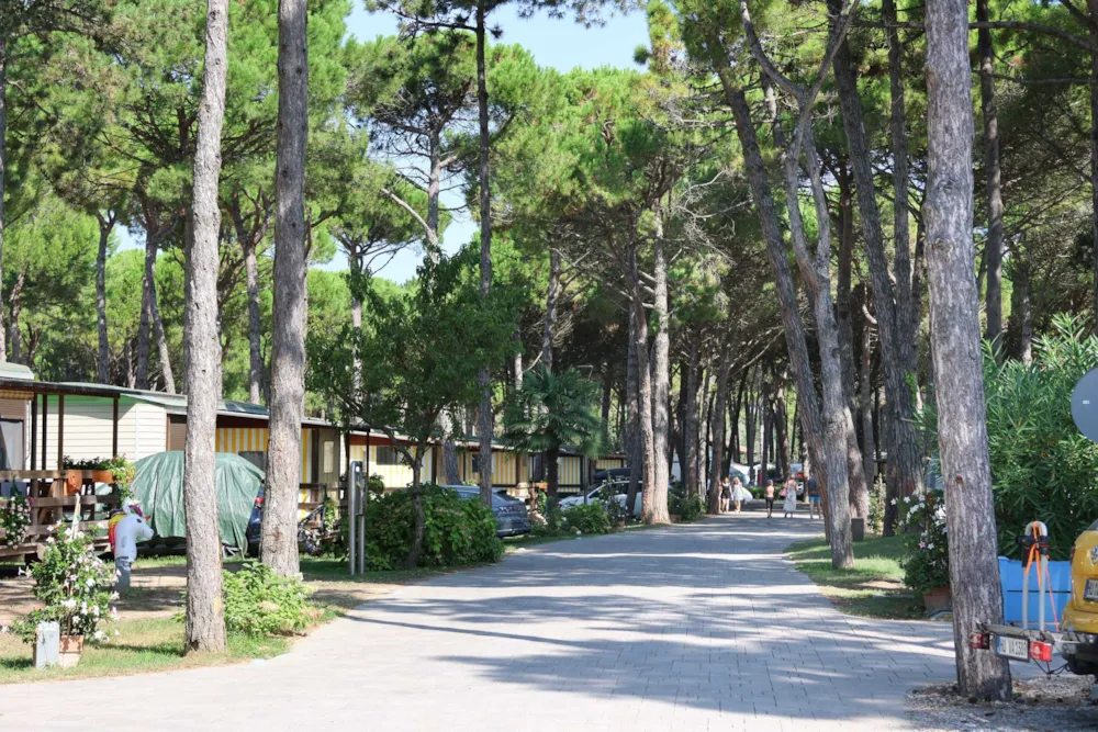 Il Tridente Camping Village