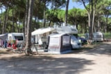 Foto #5 van Il Tridente Camping Village