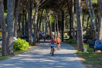 Il Tridente Camping Village - Ucamping