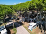 Foto #2 van Il Tridente Camping Village
