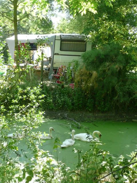 Camping L'Ile Cariot