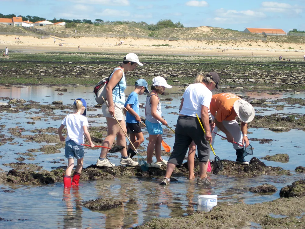 Camping L'Ile Cariot