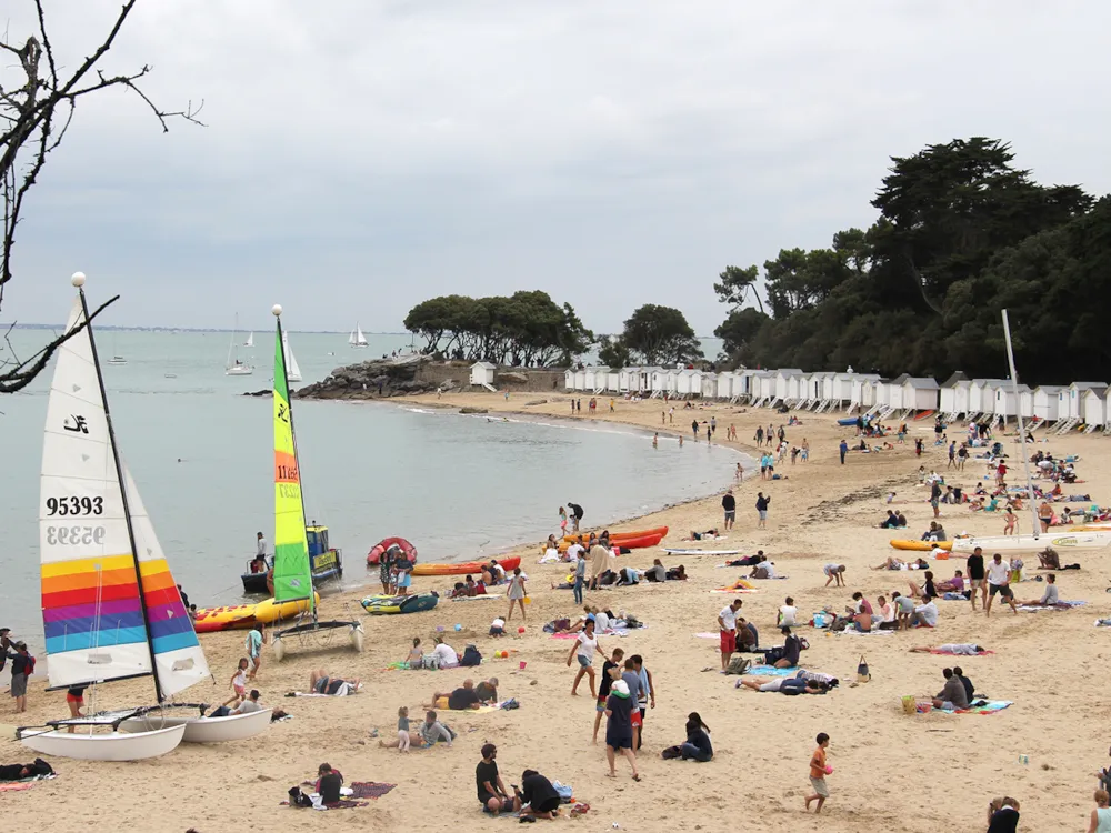 Camping L'Ile Cariot