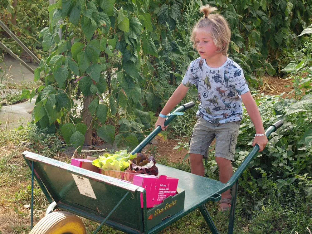 Camping L'Ile Cariot