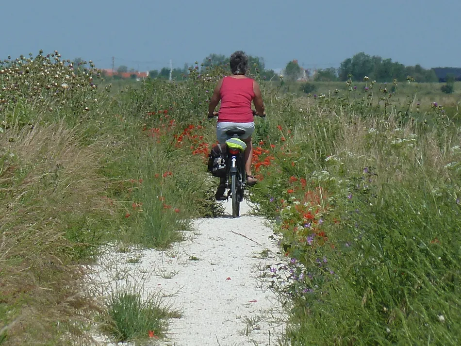 Camping L'Ile Cariot