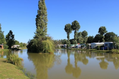 Standard Package : Pitch + caravan or tent or motor home + electricity — 3