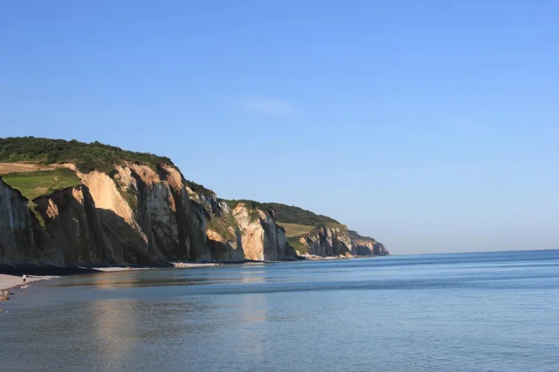 Forfait Standard : Emplacement Avec Électricité + 1 Véhicule, 1 Caravane, 1 Camping Car Ou 1 Tente +