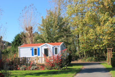 Mobile home Super Venus 22.9m² - 2 Bedrooms — 1