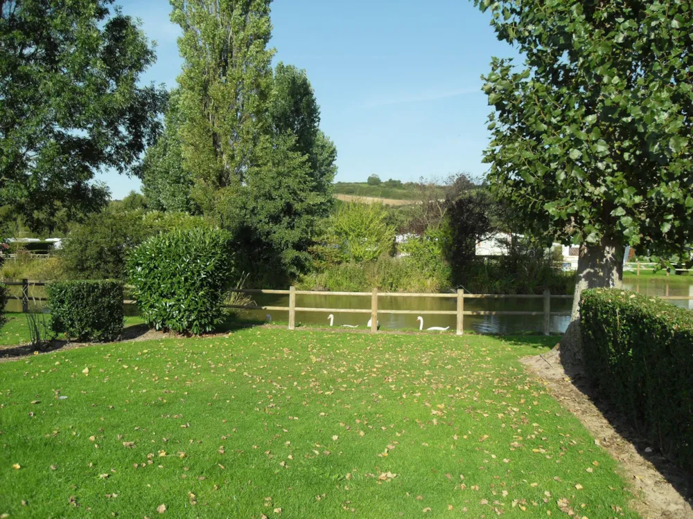 Emplacement - Forfait Randonneur (Marcheur Ou Cyclo) : Emplacement Sans Électricité, Sans Véhicule + - Camping Le Marqueval