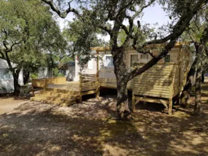 Locatif - Mobile-home Trigano 35m² - 2018 - DOMAINE DE LA CHAMARADE
