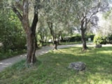 Foto #2 van Camping La Camassade