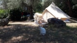 Foto #6 van Camping La Camassade
