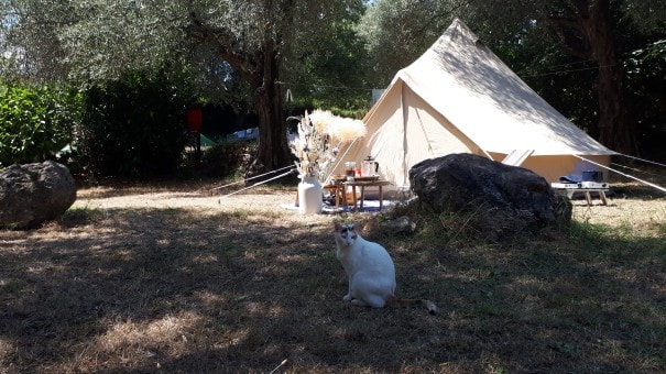 Standplaats geschikt voor tenten, caravans of campers – ongeveer 100 m²