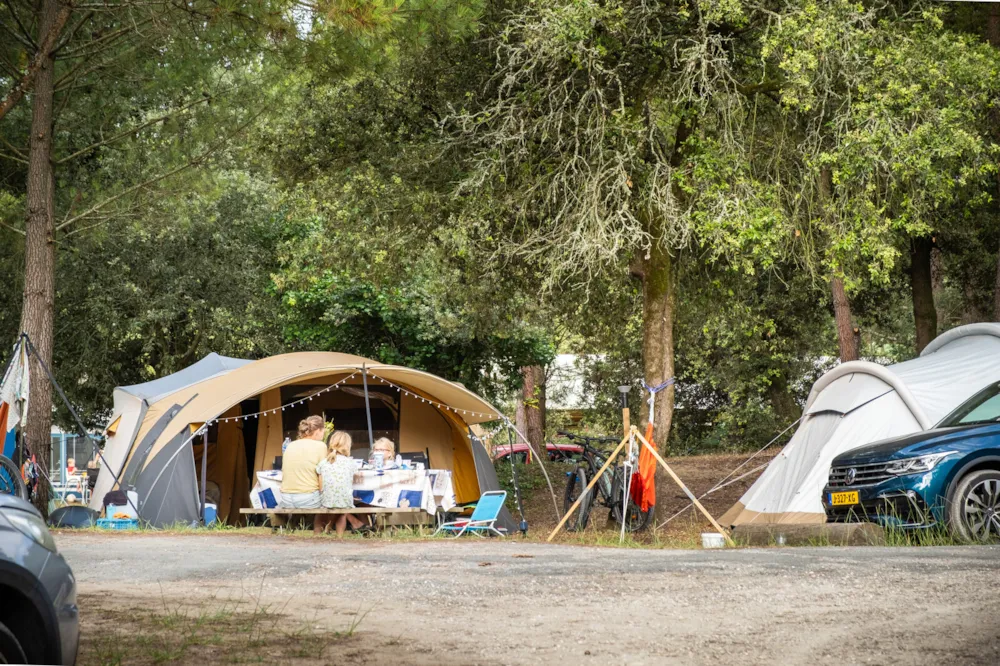 Emplacement - Emplacement Camping Confort - Huttopia Oléron les Pins