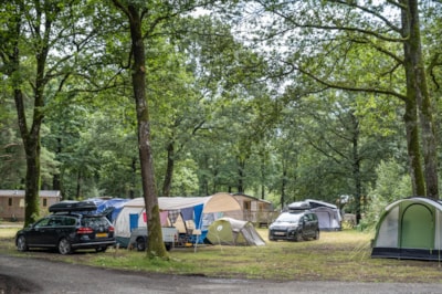 Camping Site Confort