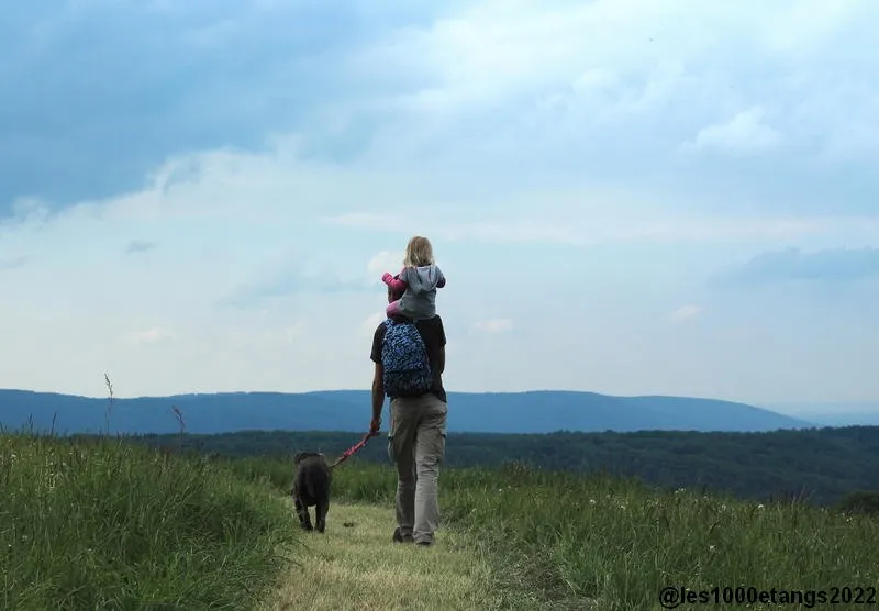 Camping Les Ballastières - image n°26 - UniversalBooking