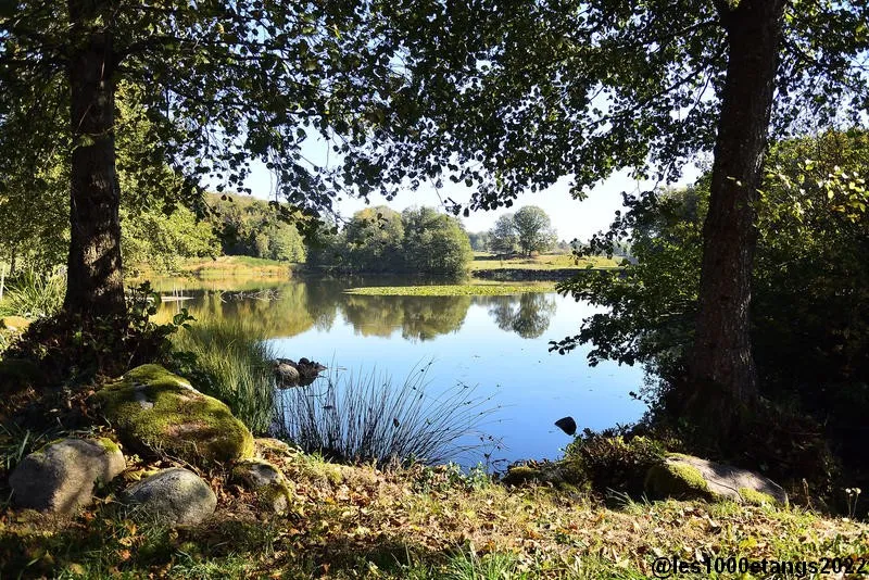 Camping Les Ballastières - image n°27 - UniversalBooking