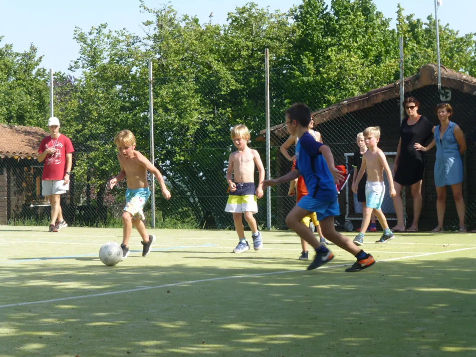 Flower Camping Les Terrasses de Dordogne