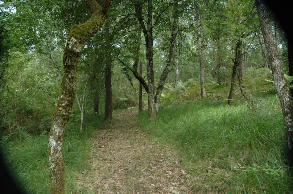 Flower Camping Les Terrasses de Dordogne