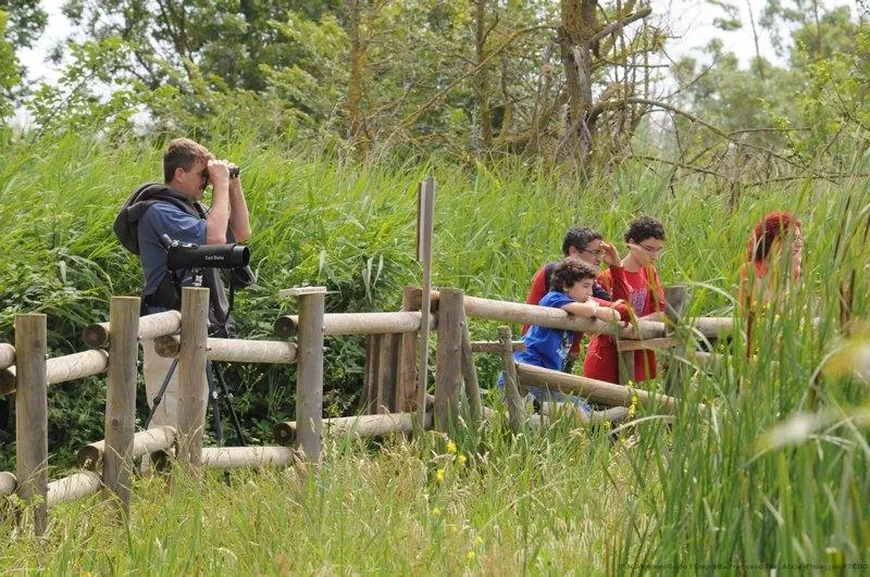 Camping Castell Montgrí