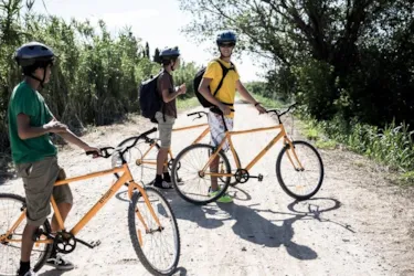 Camping Castell Montgrí - image n°2 - Camping Direct