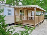 Casa Mobile Confort+ 40M² (4 Camere) Casa Mobile Confort+ 40M² (4 Camere)