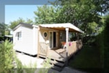 Casa Mobile Confort+ 32M² (3 Camere) Casa Mobile Confort+ 32M² (3 Camere)