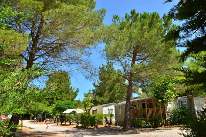 Camping Sainte-Victoire - image n°1 - Camping Direct