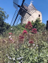 Foto #27 van Camping Saint Gabriel