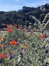 Foto #32 van Camping Saint Gabriel