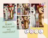 Foto #20 van Camping de Ceyreste