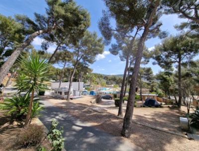 Nature Package (1 tent, caravan or motorhome / 1 car)  (No installation of more than 5 meters) — 2