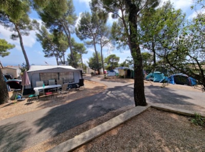 Nature Package (1 tent, caravan or motorhome / 1 car)  (No installation of more than 5 meters) — 3