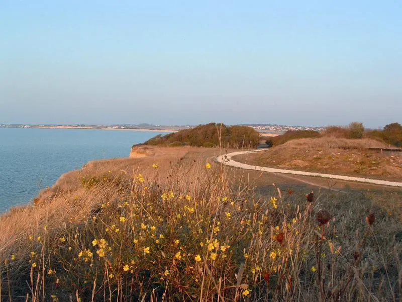 Camping Au Petit Port de l'Houmeau