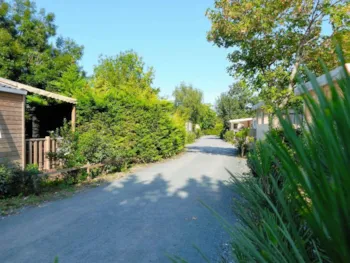 Camping Au Petit Port de l'Houmeau - image n°2 - Camping Direct