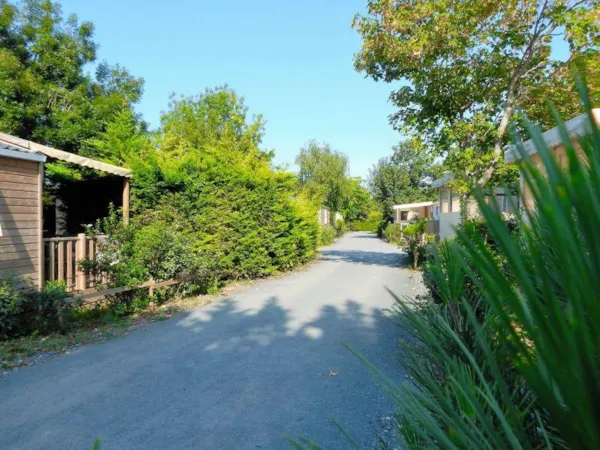 Camping Au Petit Port de l'Houmeau