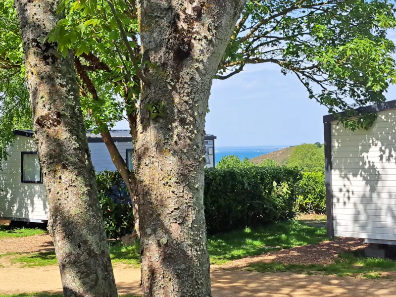 Mobil-Home "Confort" 3 Chambres Terrasse