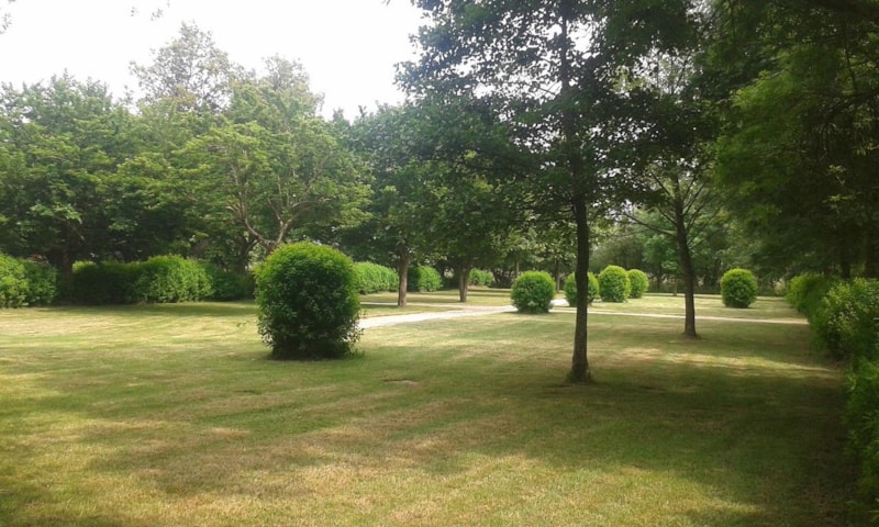 Piazzola + veicolo (elettricità opzionale)