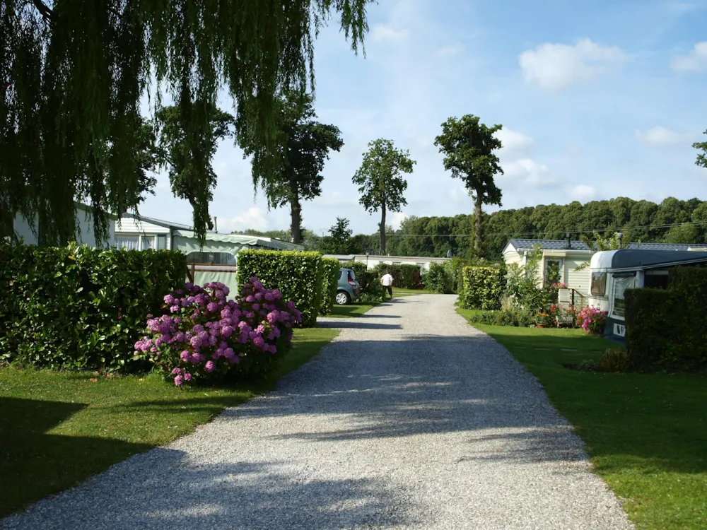 CAMPING SAINT LOUIS - image n°1 - Camping2Be