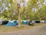 Foto #3 van Camping La Clé de Saône