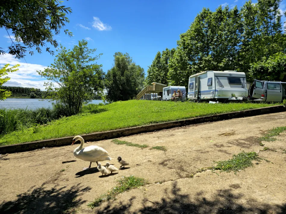 Camping La Clé de Saône